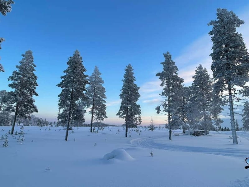 Arvidsjaur: 4h individual snowmobile tour in Swedish Lapland - Final Thoughts