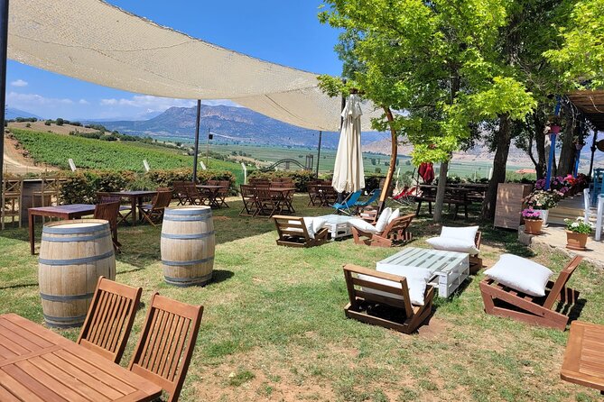 Arykanda and Likya Winery Tour A Blend of History and Wine - Key Points