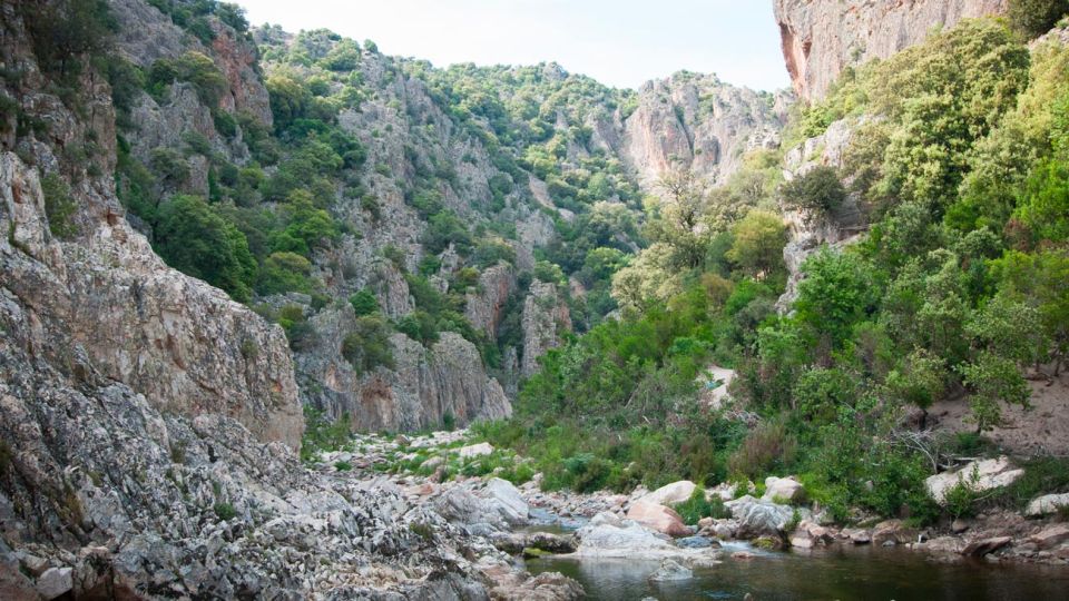 Arzana: Mt. Gennargentu, Piricanis Gorges, & Waterfall Hike - Physical Requirements