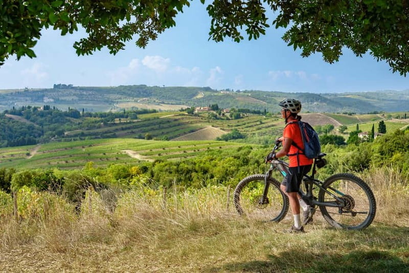 Asciano & Crete Senesi E-BIKE Tour + Pick-up&Drop-off by Van - Why This Tour Is Worth It