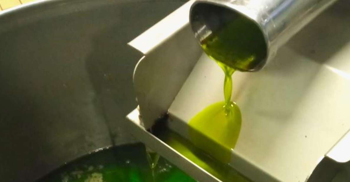Ascoli Piceno: Olive Oil Tasting With Local Products - Tour Highlights