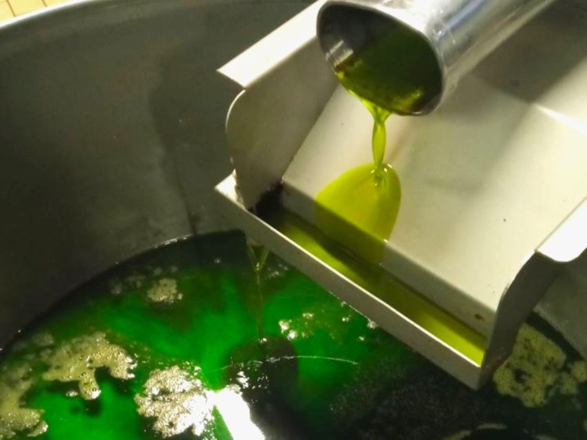 Ascoli Piceno: Olive Oil Tasting With Local Products - Accessibility Features