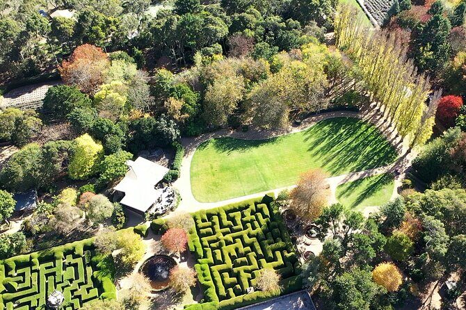 Ashcombe Maze & Lavender Gardens - A Closer Look at Ashcombe Maze & Lavender Gardens