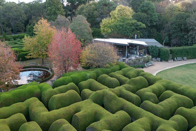 Ashcombe Maze & Lavender Gardens - Who Would Love This Experience?