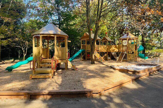 Ashcombe Maze & Lavender Gardens - Analyzing the Value