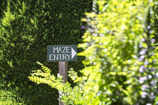 Ashcombe Maze & Lavender Gardens - Practical Tips for Visiting