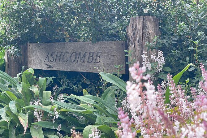 Ashcombe Maze & Lavender Gardens - FAQ