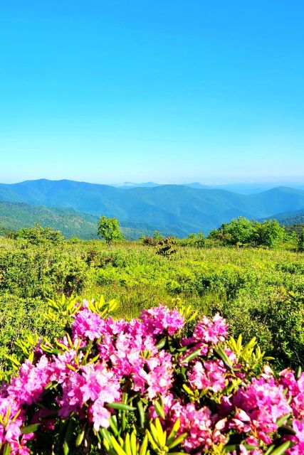 Asheville: Blue Ridge Mountains Tour for Children! - Recommended Attire