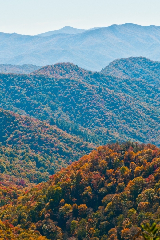 Asheville: Blue Ridge Mountains Tour for Children! - Private Group Experience