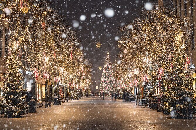 Asheville Holiday Season City Tour - Key Points