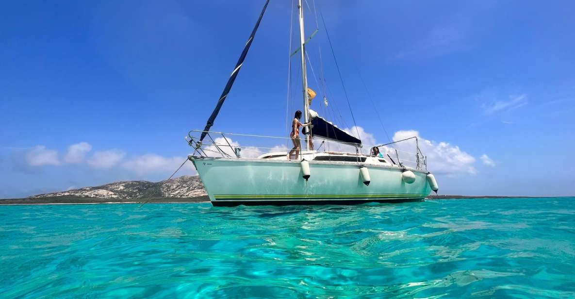Asinara: Full Day Sailboat Excursion From Stintino - Swim and Dive in the Marine Reserve