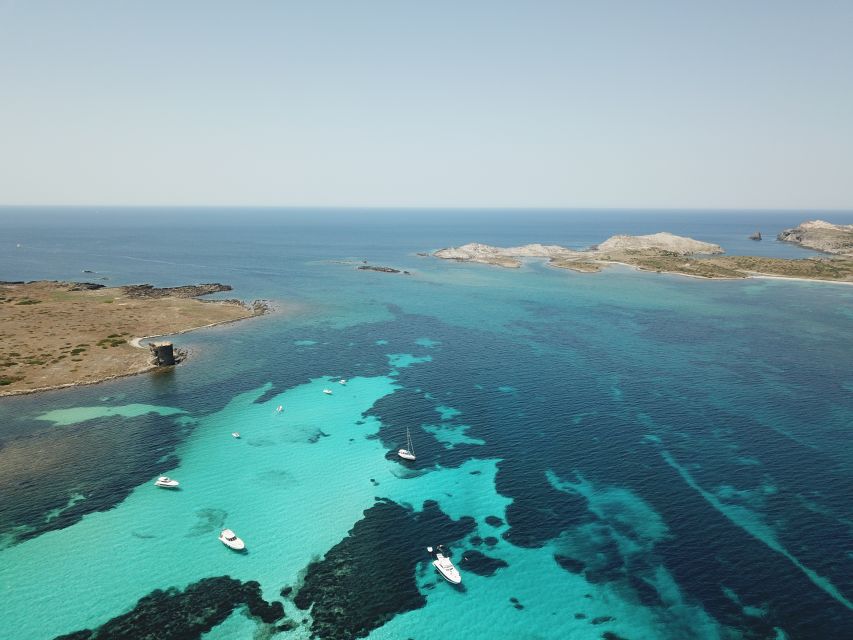 Asinara: Full Day Sailboat Excursion From Stintino - Authentic Sardinian Lunch on Board