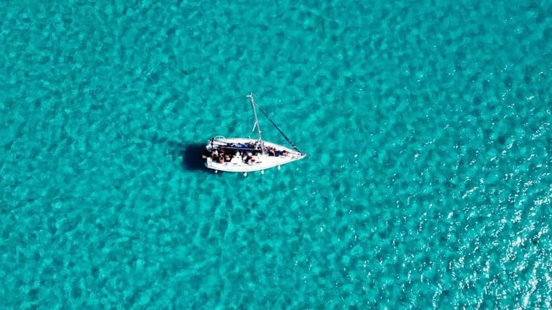 Asinara: Gita in barca a vela nel parco dell'Asinara - Key Points