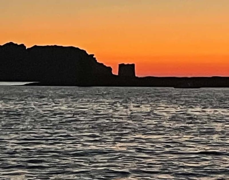 ASINARA: motorboat tour of the island park, aperitif, lunch on board. - Final Thoughts