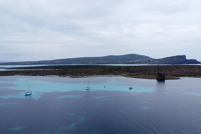 Asinara: Sailing trip in the park of Asinara - What to Expect in Terms of Practicalities