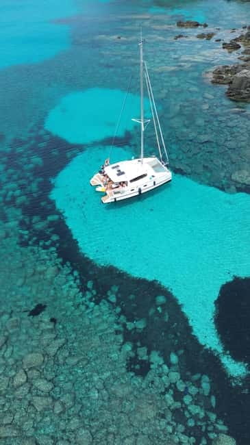 Asinara: Tour catamaran asinara island with lunch - An In-Depth Look at the Asinara Catamaran Tour