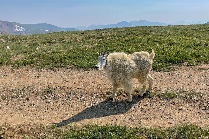 Aspen via Independence Pass Private Colorado Adventure Tour - The Value of This Tour