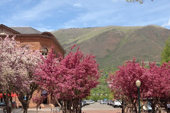 Aspens Past to Present Historic Tour - Key Features