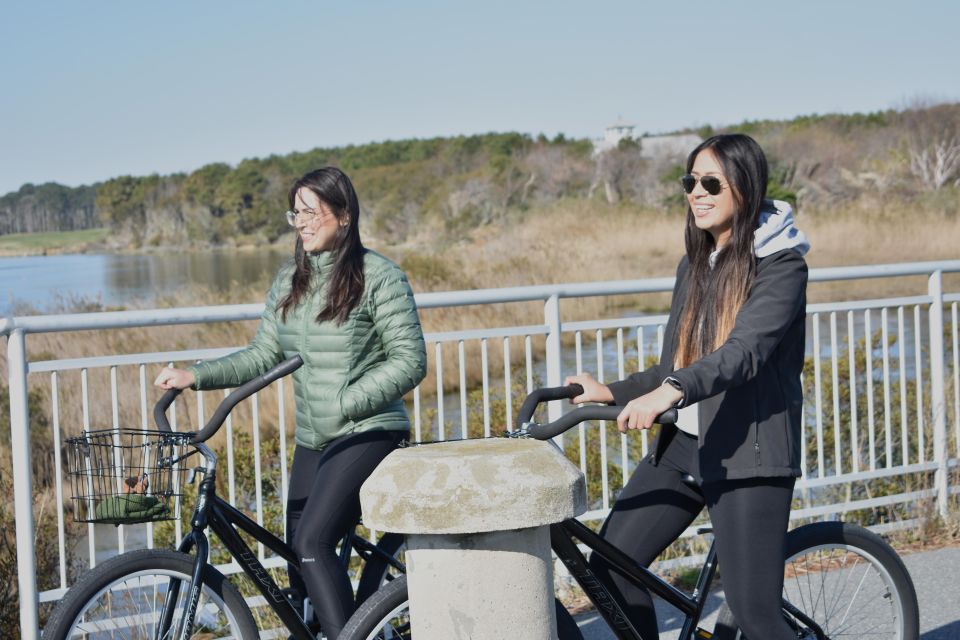 Assateague Island: Bicycle Rental From the Visitor Center - Biking Through Undeveloped Landscapes