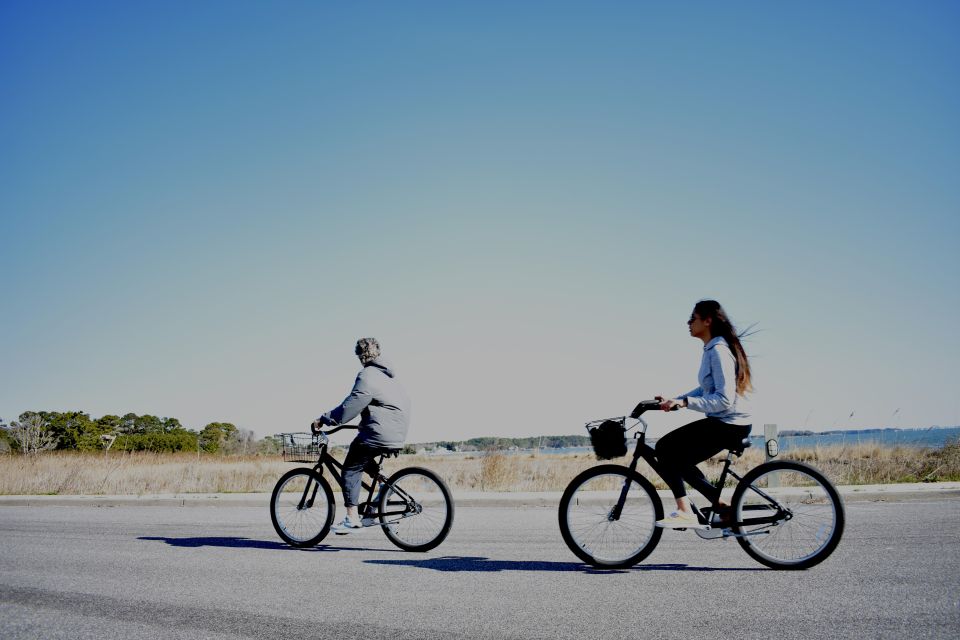 Assateague Island: Bicycle Rental From the Visitor Center - Encounters With Wild Horses and Wildlife