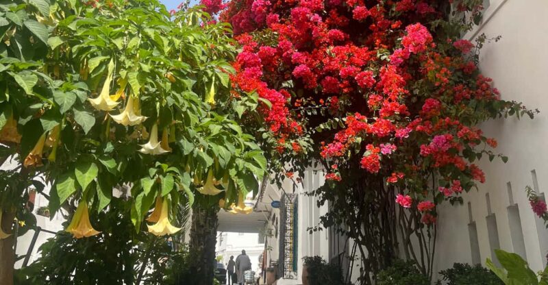 Assilah Tour on the Atlantic Coast - Historical Significance of Assilah