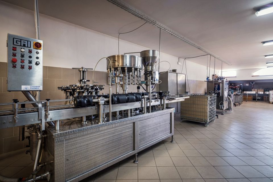 Assisi: Organic Winery Tour With Tastings & Typical Food - Experience Highlights