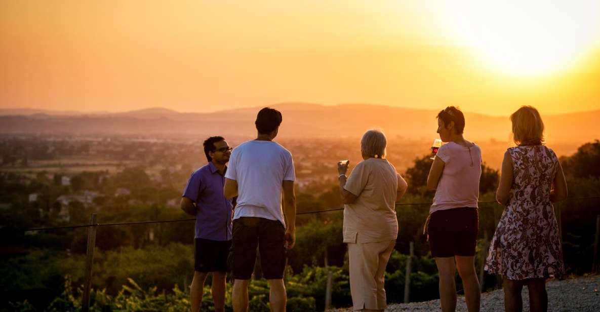 Assisi: Organic Winery Tour With Tastings & Typical Food - Accessibility Features