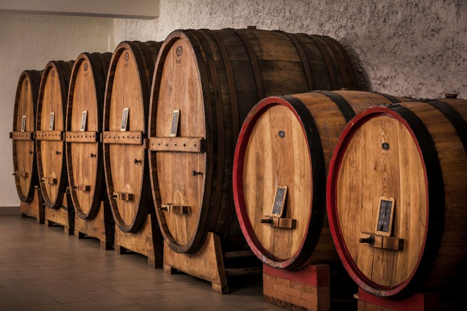 Assisi: Organic Winery Tour With Tastings & Typical Food - Location and Meeting Details