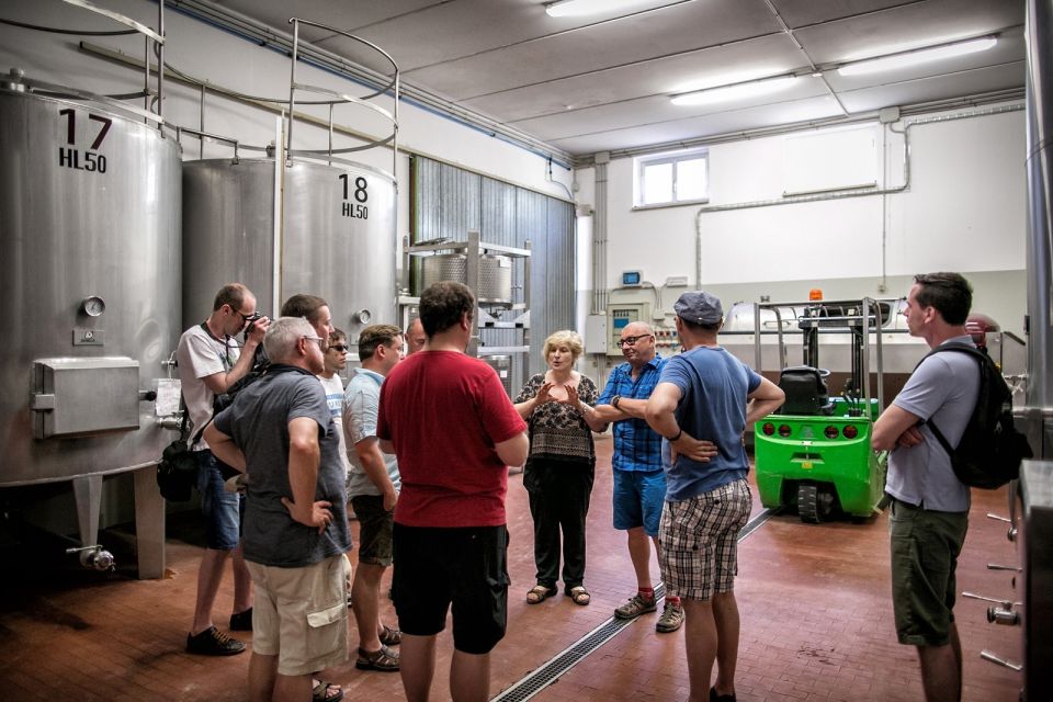 Assisi: Organic Winery Tour With Tastings & Typical Food - Customer Reviews and Ratings