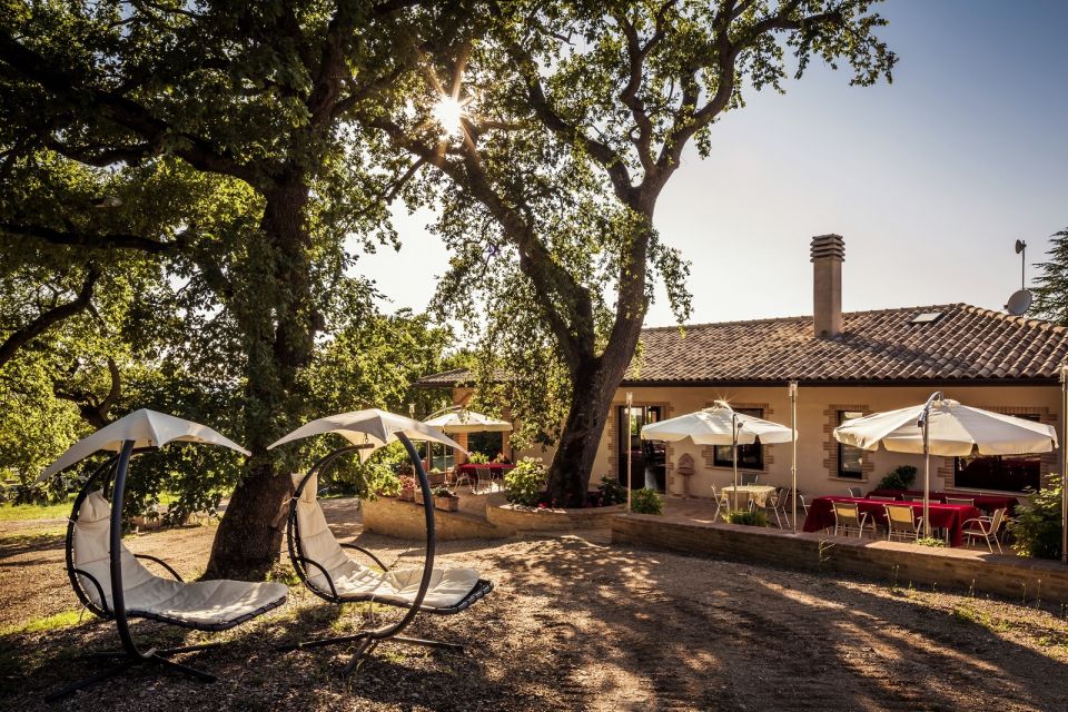 Assisi: Organic Winery Tour With Tastings & Typical Food - Booking and Cancellation Policy