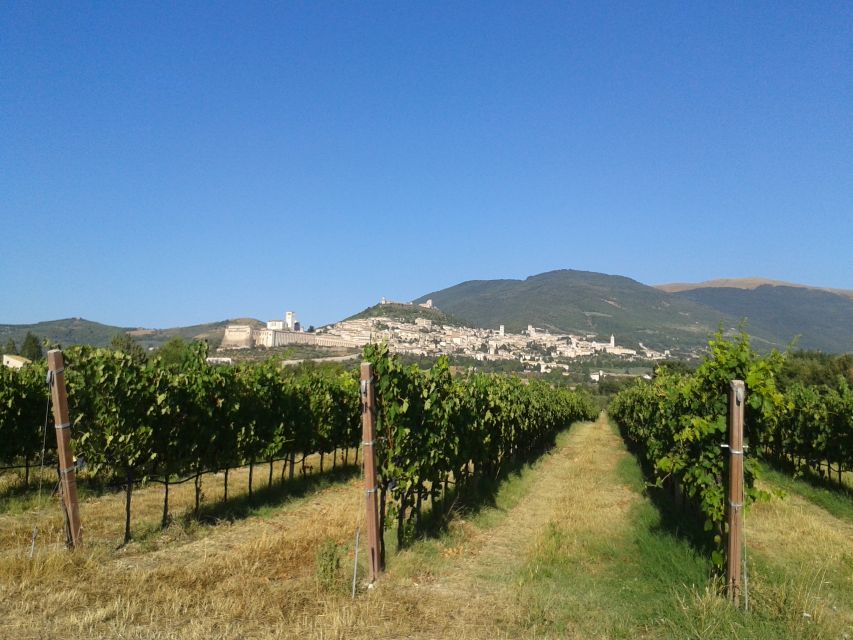 Assisi Rental Vespa 125CC - Full Day - Frequently Asked Questions