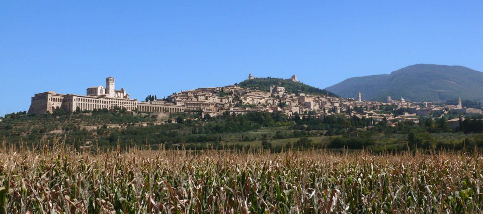 Assisi: Walking Tour With St. Francis Basilica Visit - Itinerary Highlights