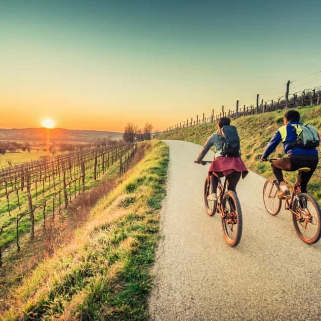 Asti Island: E-Bike & Wine Tasting Experience - Key Points