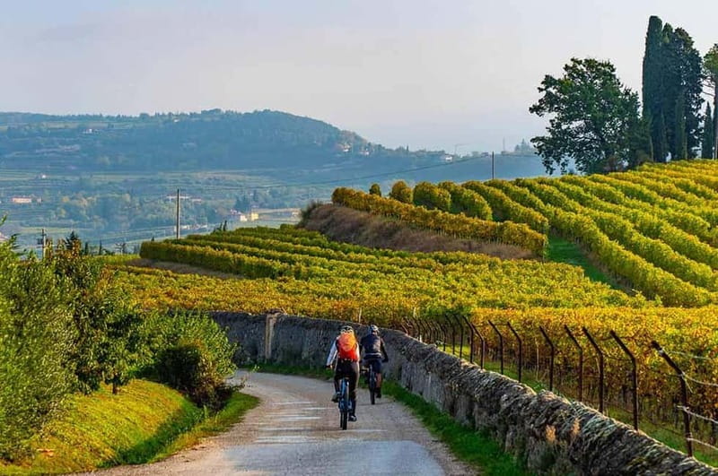 Asti Island: E-Bike & Wine Tasting Experience - Exploring Piedmont on Two Wheels and Tasting Plates