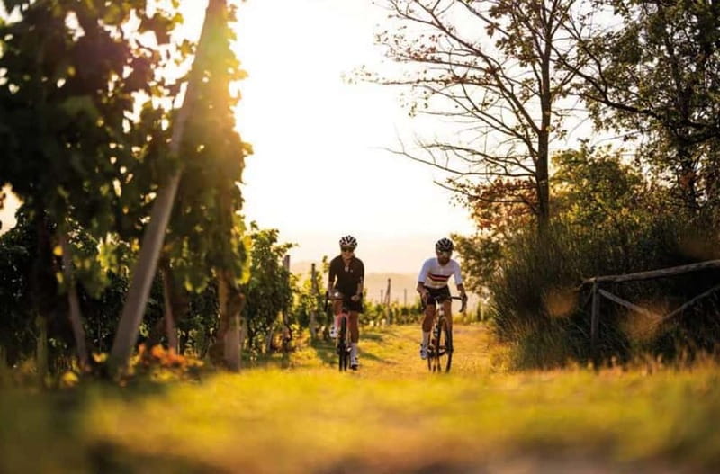 Asti Island: E-Bike & Wine Tasting Experience - Equipment and Safety: What’s Included