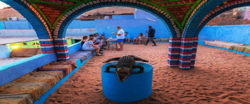 Aswan: Day Trip to Nubian Village With Camel Tour - Unique Activities in Nubian Village