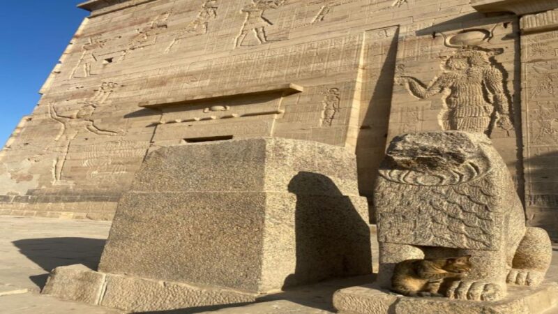 Aswan Sightseeing Tour- Half Day Temple of Philae - High Dam - Good To Know