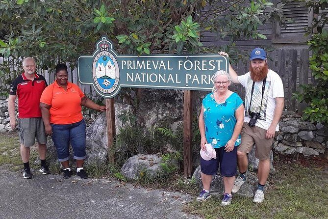 At YOUR Pace Private Tours V.I.P - Nassau, Bahamas - A Thorough Look at the Experience
