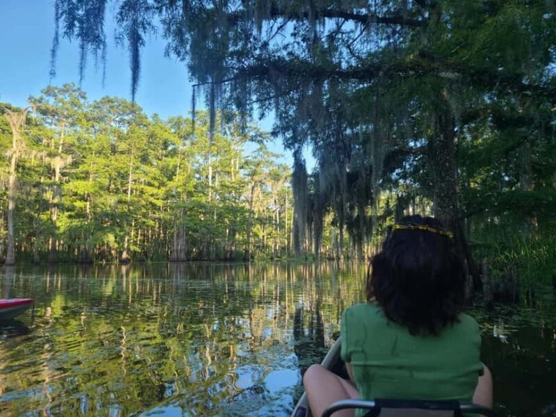 Atchafalaya Basin: 2.5 Hr. Guided Kayak Tour - Exploring the Atchafalaya Basin: A 2.5-Hour Guided Kayak Tour Review