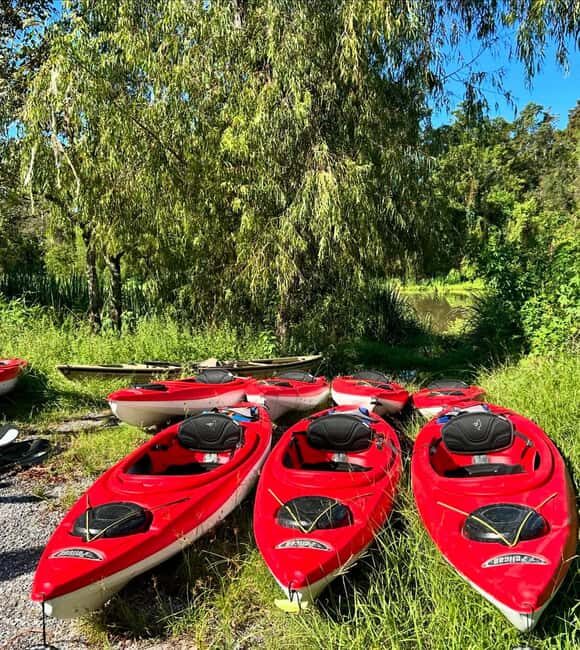 Atchafalaya Basin: 2.5 Hr. Guided Kayak Tour - The Balance of Value and Experience