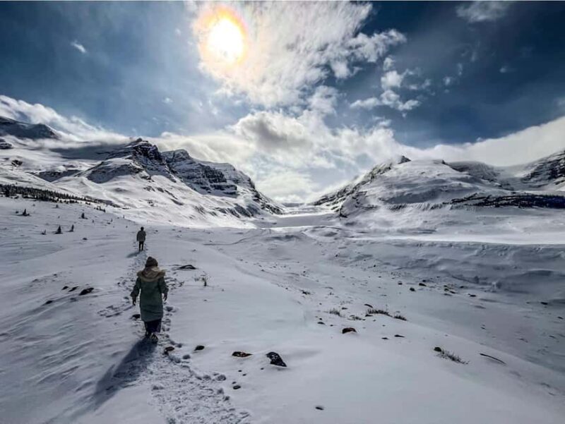 Athabasca Falls/Abraham,Sunwapta Falls, Icefield, Peyto Lake - The Practical Side: Transport, Timing, and Value