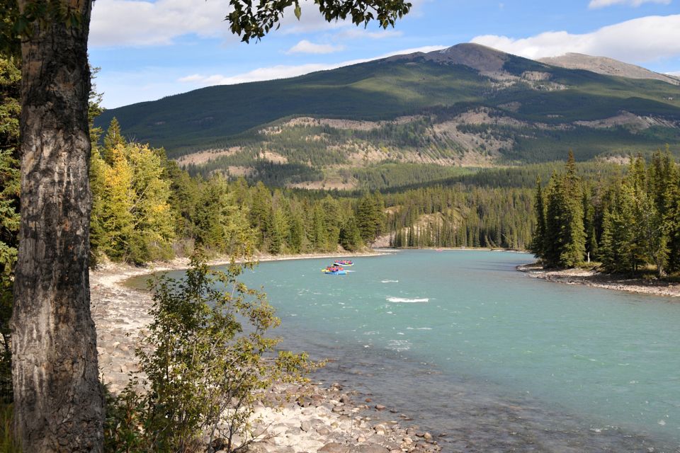 Athabasca Falls: Class 2 White Water Rafting Adventure - Pricing and Booking
