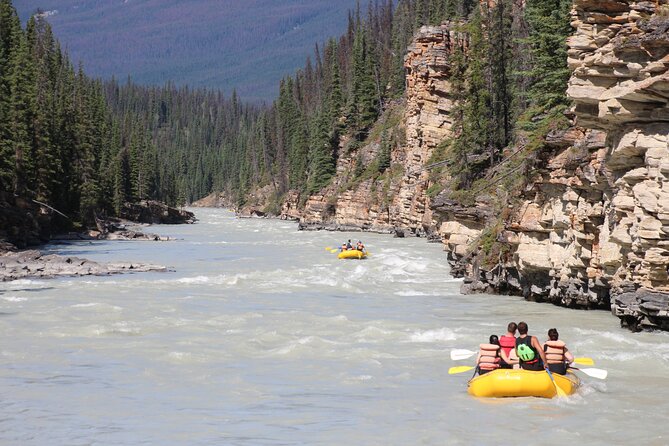 Athabasca Falls Run - Customer Reviews and Experiences