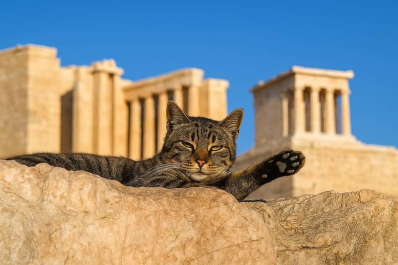 Athens: Acropolis Guided Tour with Skip-The-Line Tickets - FAQ