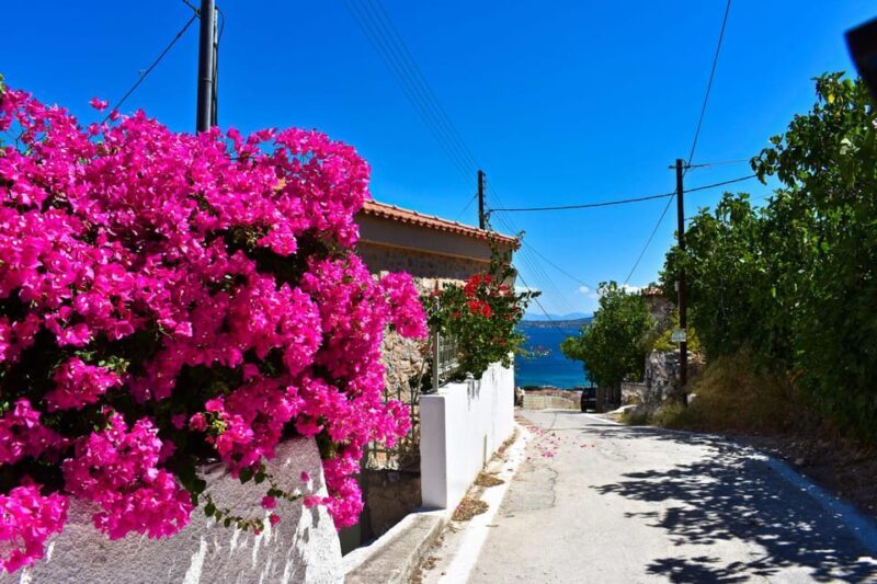 Athens: Agistri, Metopi & Aegina Cruise with Meals & Drinks - The Boats: Angelique & Martika