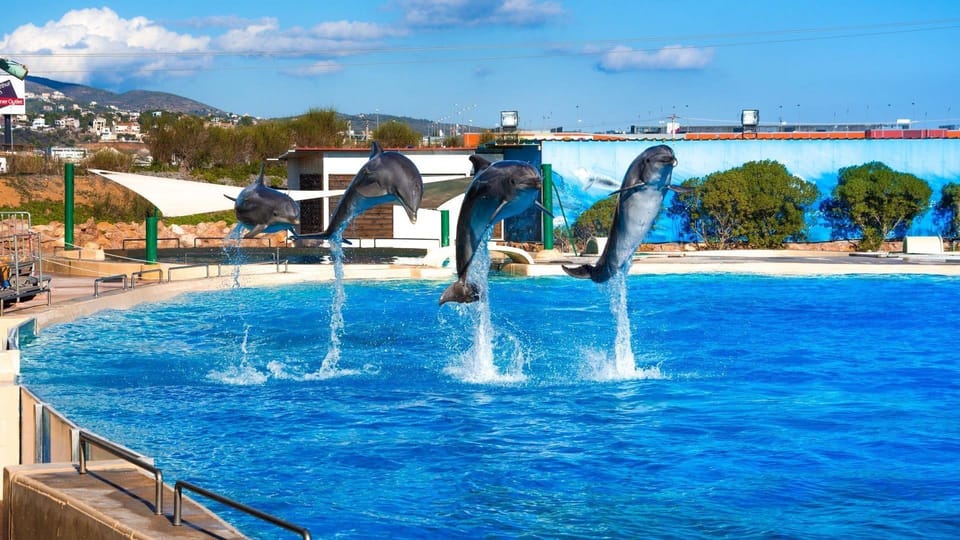 Athens: Attica Zoological Park & Athens National Garden Trip - The Experience in Detail