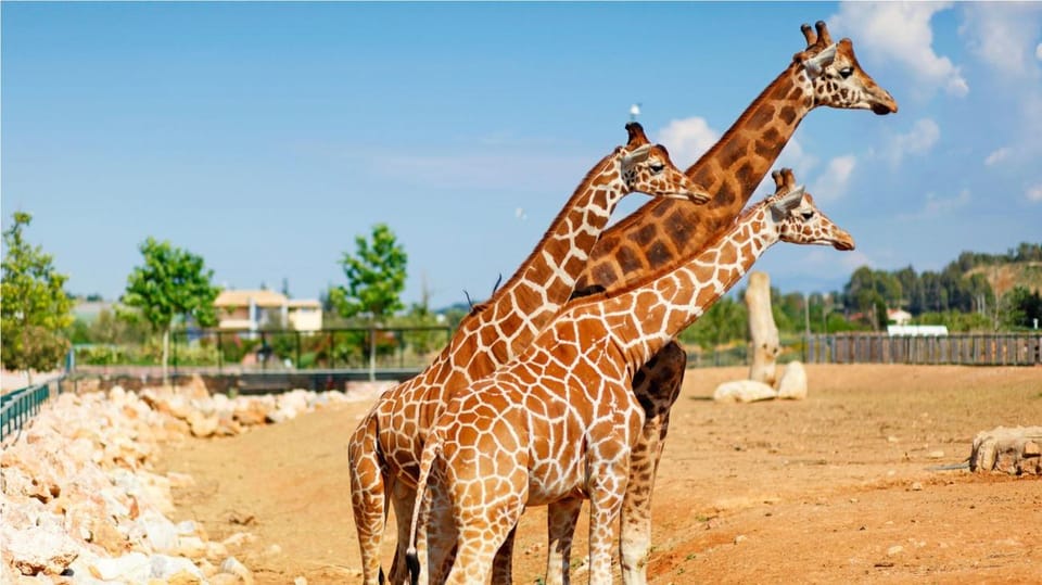 Athens: Attica Zoological Park & Athens National Garden Trip - The Sum Up
