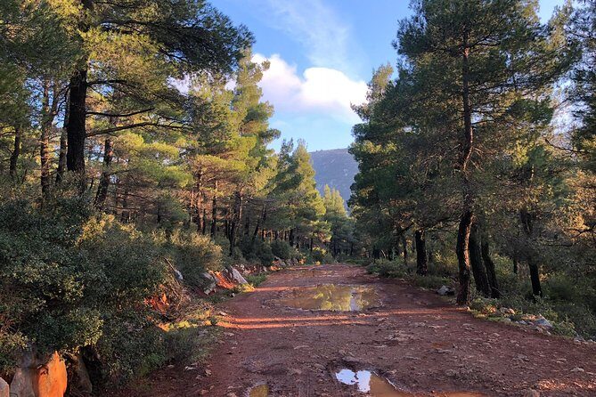 Athens Backcountry Shore Excursion to Parnitha Mountain - Analyzing the Value and Who It’s For