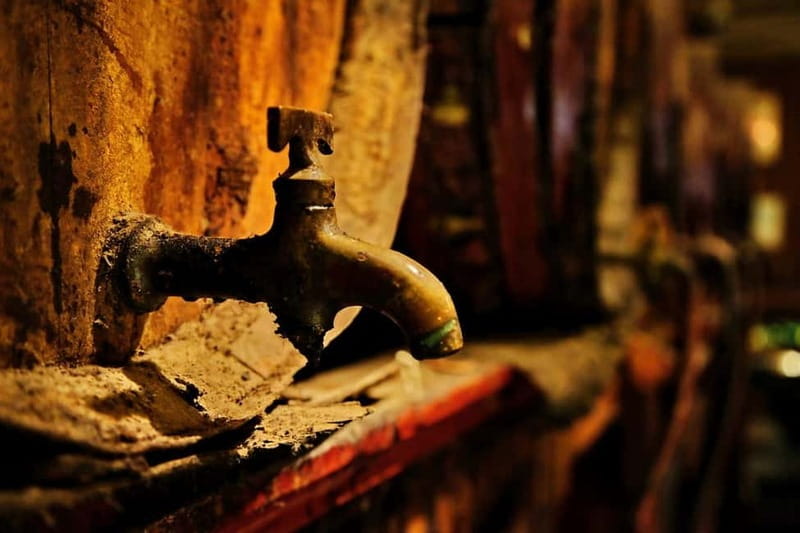 Athens: Brandy & Tsipouro Tasting - An In-Depth Look at the Experience