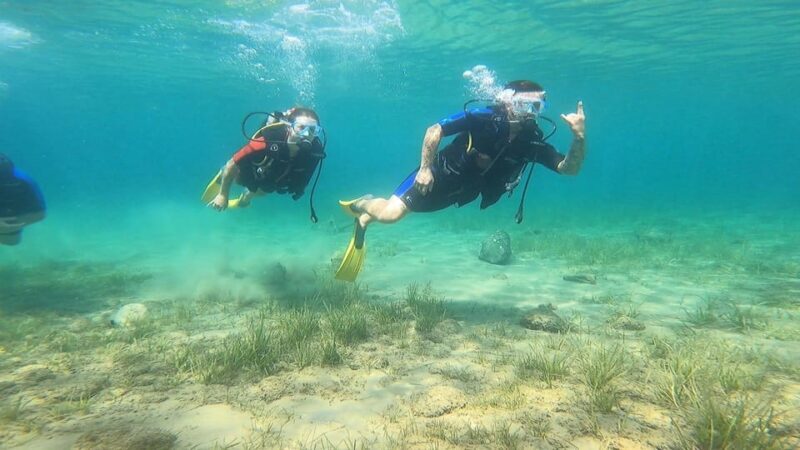 Athens East Coast: Open Water Diver Course in Nea Makri - Who Will Love This Experience?